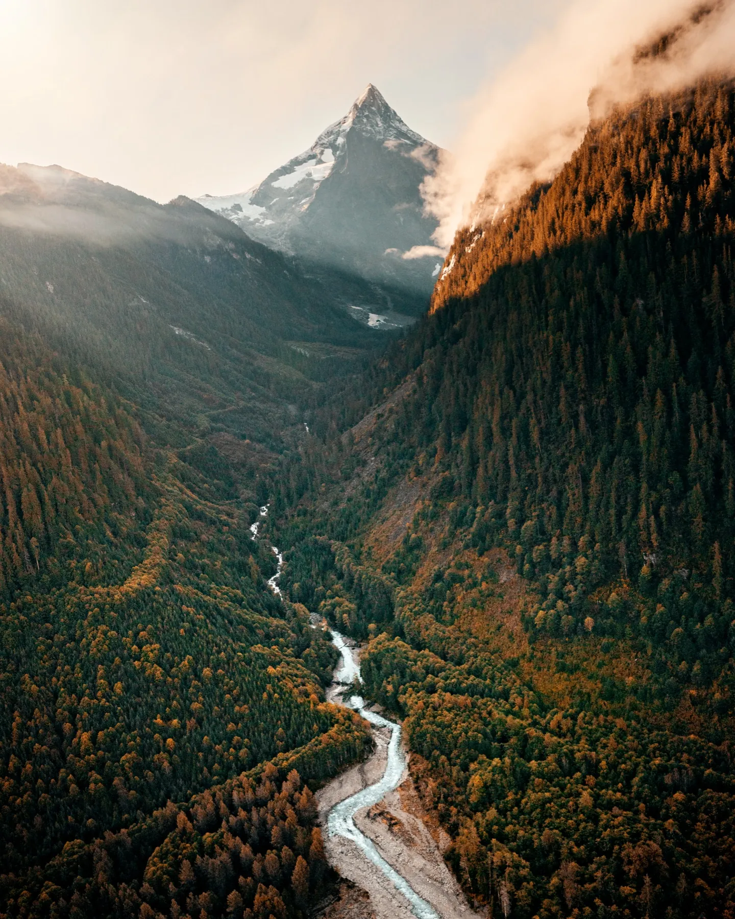Bewaldetes Bergtal im warmen Abendlicht