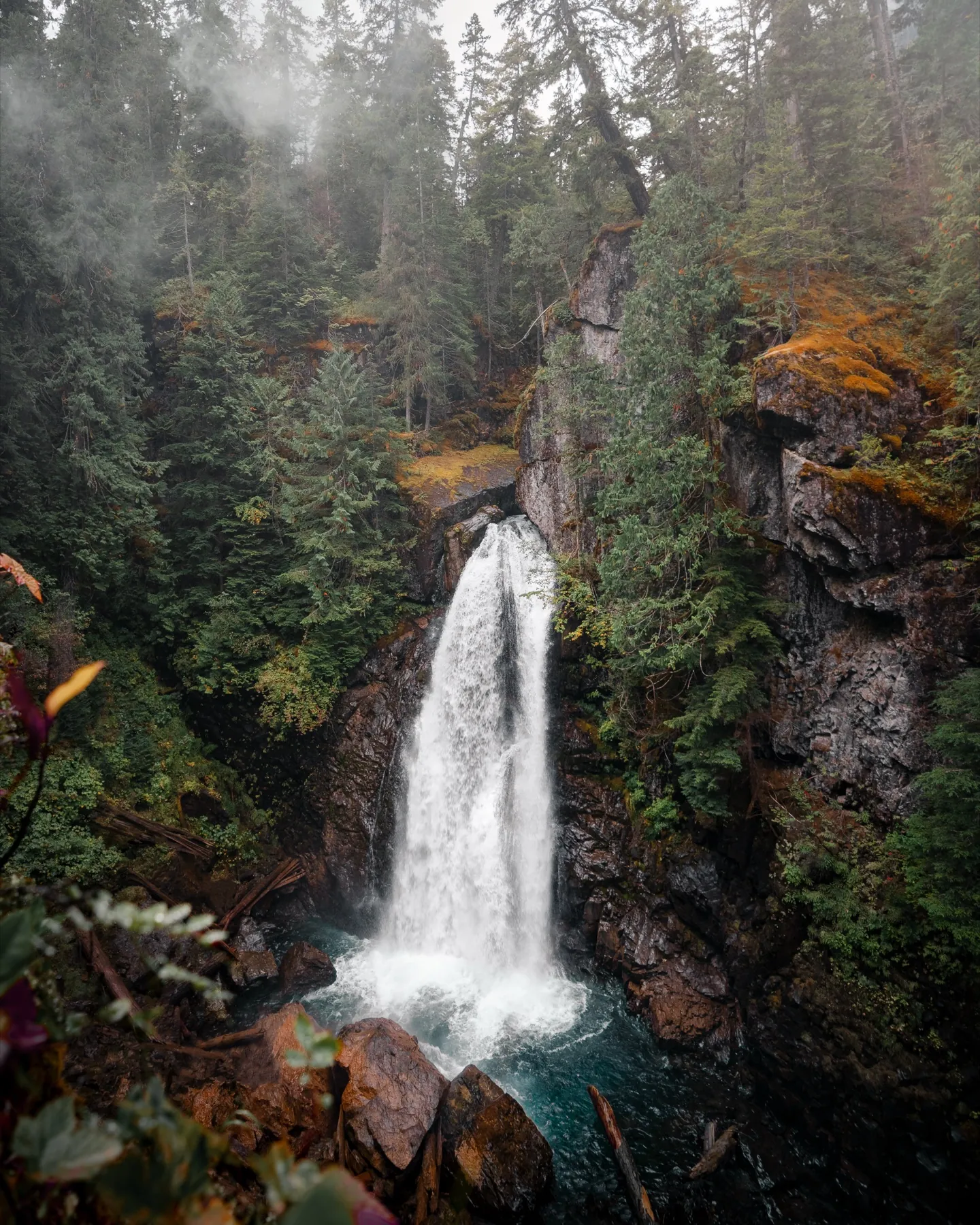 Wasserfall in einem dichten Wald