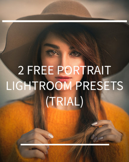 free presets for portraits