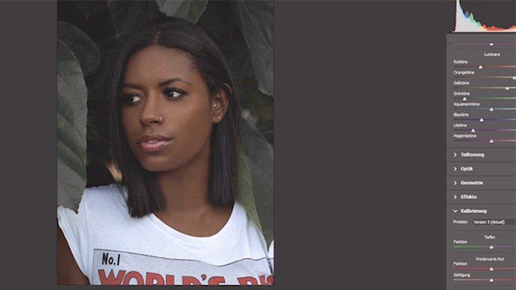 free lightroom presets for portraits